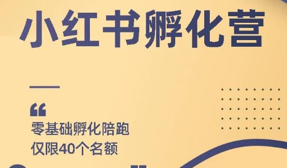 704、勇哥小红书撸金快速起量项目：教你如何快速起号获得曝光，做到月躺赚在3000+-知识学院