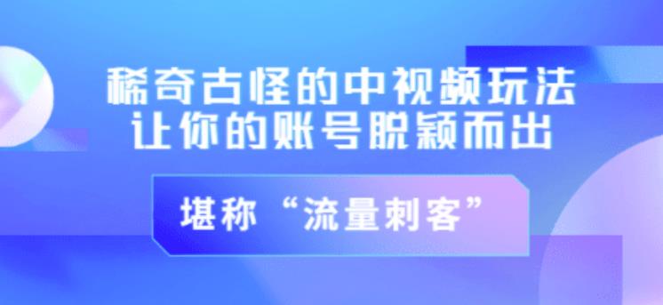 1115、不讲李·稀奇古怪的冷门中视频冷门玩法，让你的账号脱颖而出，成为流量刺客！（图文+视频）-知识学院