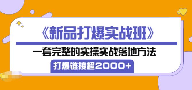 1584、凌童《新品打爆实战班》,一套完整的实操实战落地方法，打爆链接超2000+（28节课)-知识学院