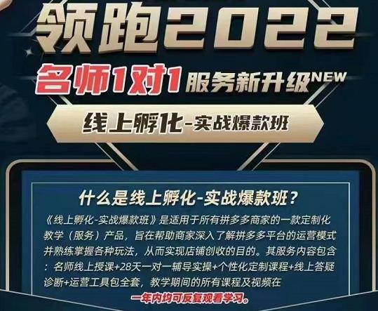 1187、牛气学堂老陶电商【第9期】，拼多多名师线上领跑28天，线上孵化-实战爆款班-知识学院