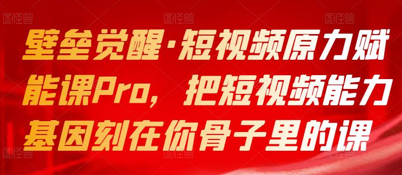 1244、壁垒觉醒·短视频原力赋能课Pro，把短视频能力基因刻在你骨子里的课-知识学院