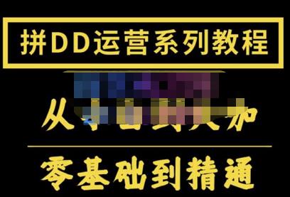 1271、2022全套拼多多核心实操课程，从0-1轻松起链接实战，低投入高产出运作店铺-知识学院