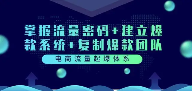 电商流量起爆体系：掌握流量密码+建立爆款系统+复制爆款团队（价值599）