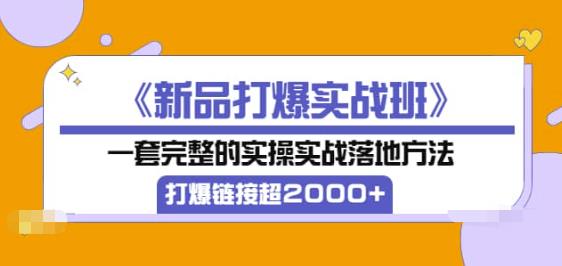 1289、《新品打爆实战班》一套完整的实操实战落地方法，打爆链接超2000+（38节课)-知识学院