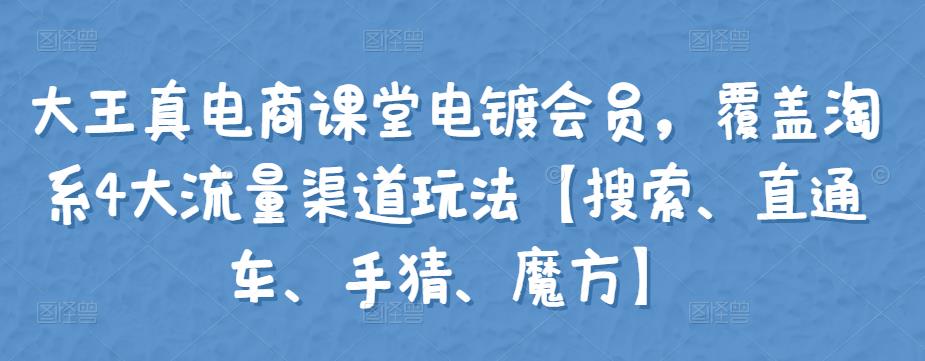 1356、大王真电商课堂电镀会员，覆盖淘系4大流量渠道玩法【搜索、直通车、手猜、魔方】-知识学院