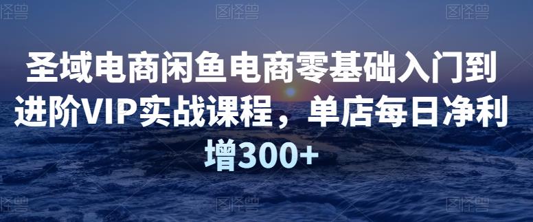 1490、圣域电商闲鱼电商零基础入门到进阶VIP实战课程，单店每日净利增300+-知识学院