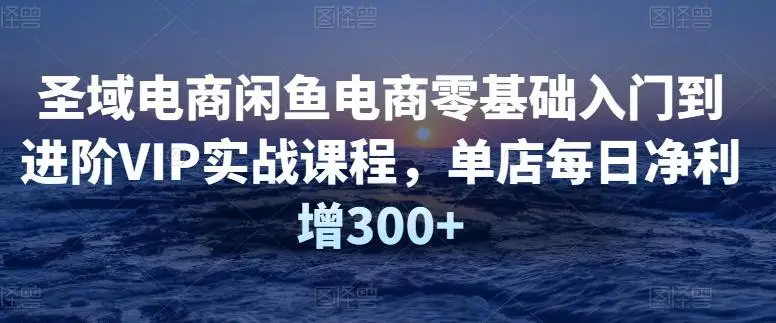 圣域电商闲鱼电商零基础入门到进阶VIP实战课程，单店每日净利增300+