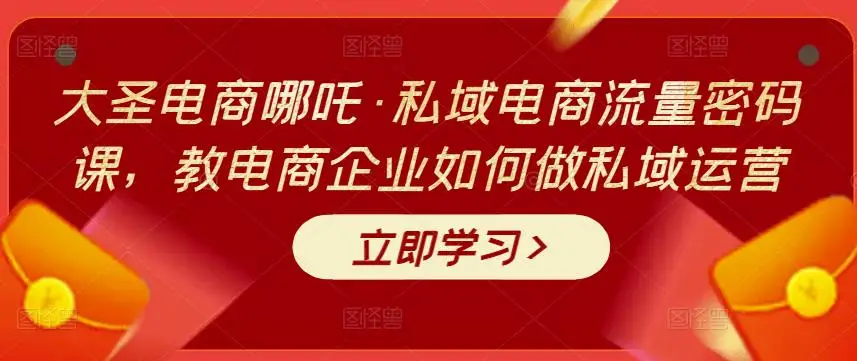 大圣电商哪吒·私域电商流量密码课，教电商企业如何做私域运营