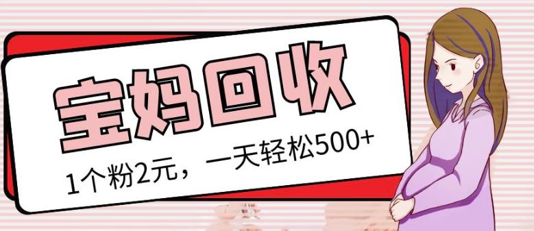 1577、最新小红书母婴号宝妈粉回收项目，1个粉2元，一天轻松500+案例分享【粉丝包回收】-知识学院