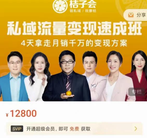 1037、桔子会·私域流量变现速成班，4天拿走月销千万的变现方案 价值12800元-知识学院