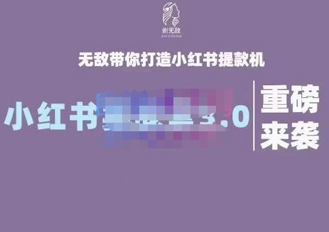 1051、谢无敌·小红书实战营3.0，无敌带你打造小红书提款机 价值7999元-知识学院