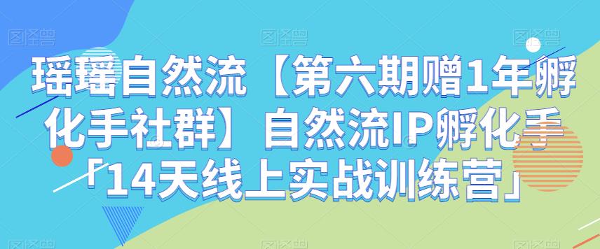 2475、瑶瑶自然流【第六期赠1年孵化手社群】自然流IP孵化手「14天线上实战训练营」-知识学院