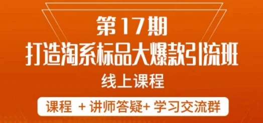 南掌柜-第17期打造淘系标品大爆款，5天线上课