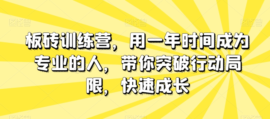 2810、板砖训练营，用一年时间成为专业的人，带你突破行动局限，快速成长-知识学院