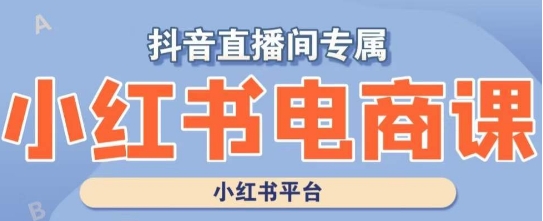 2871、小红书电商高级运营课程，实操教学+案例分析-知识学院