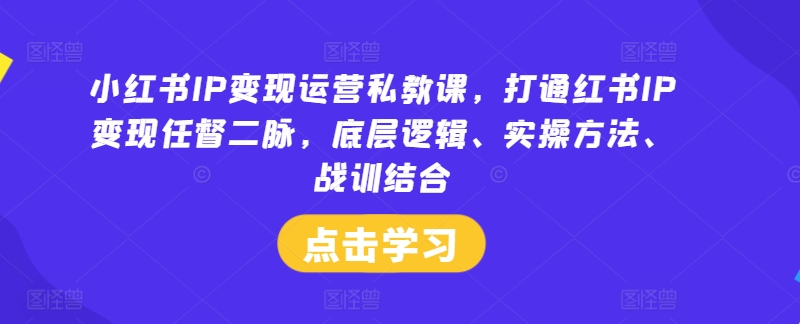 3469、小红书IP变现运营私教课，打通红书IP变现任督二脉，底层逻辑、实操方法、战训结合-知识学院